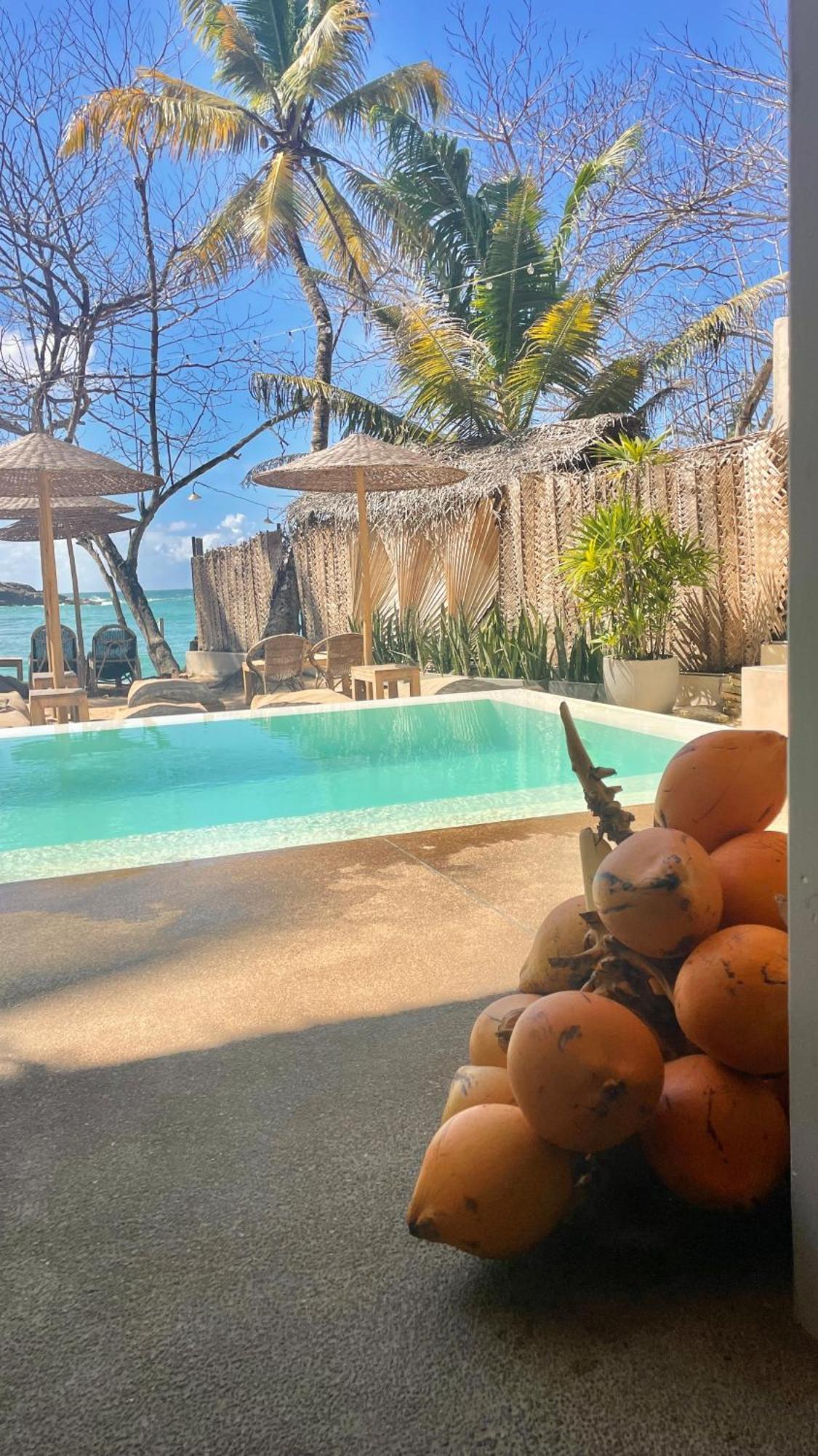 La Playa Beach Club Dikwella Eksteriør billede